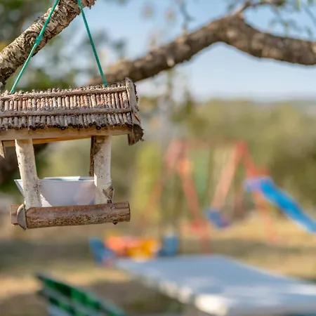 Rustic Florice With A Pool Villa *