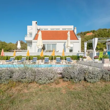 Rustic Florice With A Pool Villa