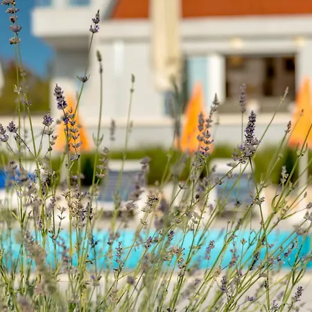 Rustic Florice With A Pool