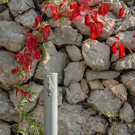 Rustic Florice With A Pool *