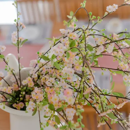 וילה Rustic Florice With A Pool Lecevica