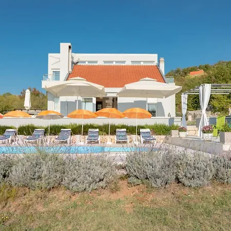 Rustic Florice With A Pool