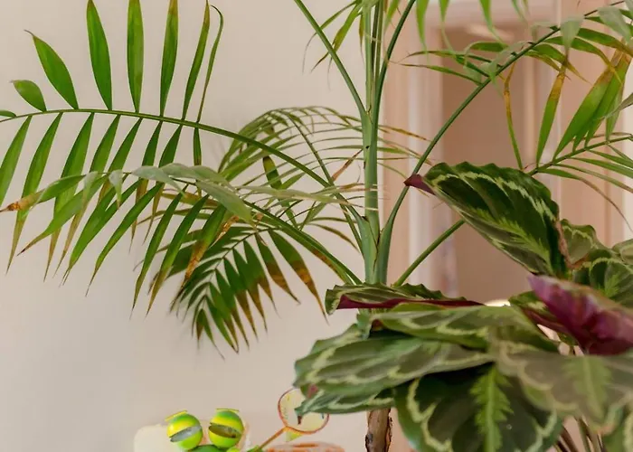 Villa Rustic Florice With A Pool Lecevica